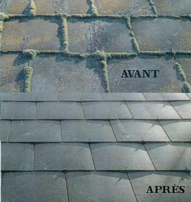 Rénovation toiture - Coloration fibro